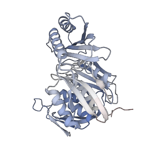11357_6zqa_CM_v1-1
Cryo-EM structure of the 90S pre-ribosome from Saccharomyces cerevisiae, state A (Poly-Ala)