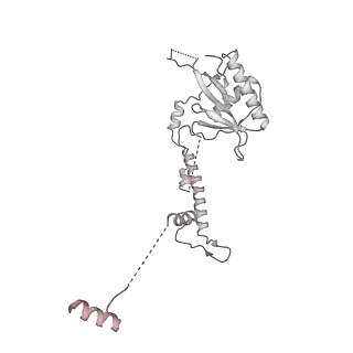 11357_6zqa_CN_v1-1
Cryo-EM structure of the 90S pre-ribosome from Saccharomyces cerevisiae, state A (Poly-Ala)