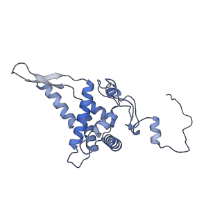 11357_6zqa_DF_v1-1
Cryo-EM structure of the 90S pre-ribosome from Saccharomyces cerevisiae, state A (Poly-Ala)