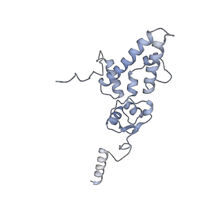 11357_6zqa_DJ_v1-1
Cryo-EM structure of the 90S pre-ribosome from Saccharomyces cerevisiae, state A (Poly-Ala)
