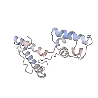 11357_6zqa_DN_v1-1
Cryo-EM structure of the 90S pre-ribosome from Saccharomyces cerevisiae, state A (Poly-Ala)