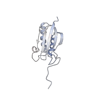 11357_6zqa_DO_v1-1
Cryo-EM structure of the 90S pre-ribosome from Saccharomyces cerevisiae, state A (Poly-Ala)