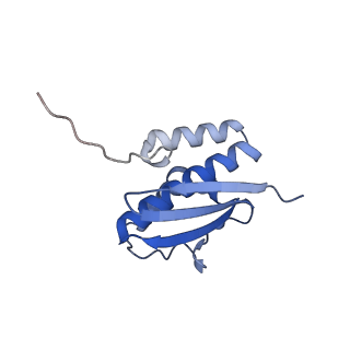 11357_6zqa_DQ_v1-1
Cryo-EM structure of the 90S pre-ribosome from Saccharomyces cerevisiae, state A (Poly-Ala)