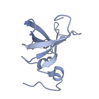 11357_6zqa_DX_v1-1
Cryo-EM structure of the 90S pre-ribosome from Saccharomyces cerevisiae, state A (Poly-Ala)