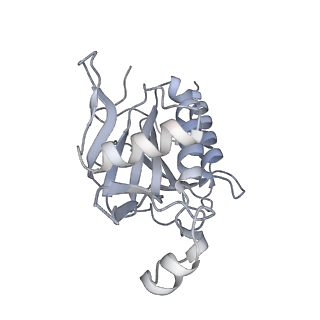 11357_6zqa_JF_v1-1
Cryo-EM structure of the 90S pre-ribosome from Saccharomyces cerevisiae, state A (Poly-Ala)
