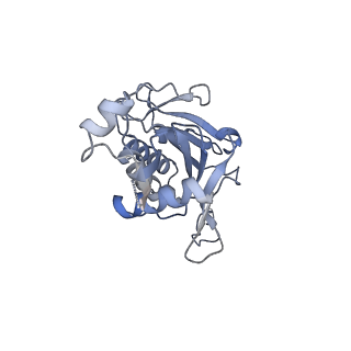 11357_6zqa_JG_v1-1
Cryo-EM structure of the 90S pre-ribosome from Saccharomyces cerevisiae, state A (Poly-Ala)