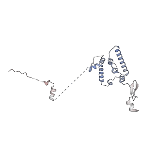 11357_6zqa_JN_v1-1
Cryo-EM structure of the 90S pre-ribosome from Saccharomyces cerevisiae, state A (Poly-Ala)