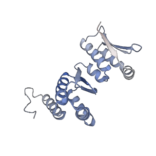 11357_6zqa_JO_v1-1
Cryo-EM structure of the 90S pre-ribosome from Saccharomyces cerevisiae, state A (Poly-Ala)