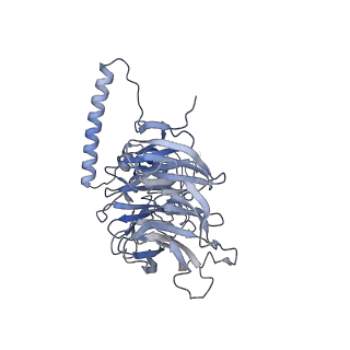 11357_6zqa_JP_v1-1
Cryo-EM structure of the 90S pre-ribosome from Saccharomyces cerevisiae, state A (Poly-Ala)