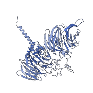 11357_6zqa_UA_v1-1
Cryo-EM structure of the 90S pre-ribosome from Saccharomyces cerevisiae, state A (Poly-Ala)