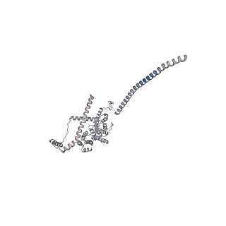 11357_6zqa_UB_v1-1
Cryo-EM structure of the 90S pre-ribosome from Saccharomyces cerevisiae, state A (Poly-Ala)