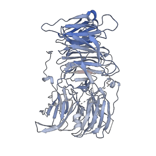 11357_6zqa_UD_v1-1
Cryo-EM structure of the 90S pre-ribosome from Saccharomyces cerevisiae, state A (Poly-Ala)