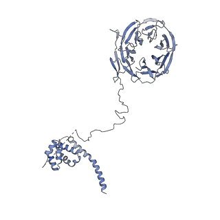 11357_6zqa_UE_v1-1
Cryo-EM structure of the 90S pre-ribosome from Saccharomyces cerevisiae, state A (Poly-Ala)