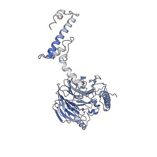 11357_6zqa_UG_v1-1
Cryo-EM structure of the 90S pre-ribosome from Saccharomyces cerevisiae, state A (Poly-Ala)