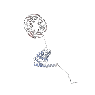 11357_6zqa_UH_v1-1
Cryo-EM structure of the 90S pre-ribosome from Saccharomyces cerevisiae, state A (Poly-Ala)