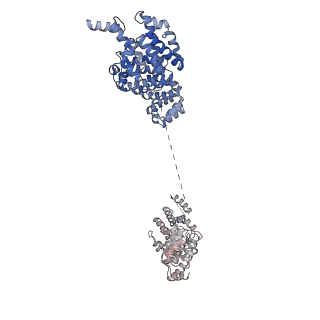 11357_6zqa_UJ_v1-1
Cryo-EM structure of the 90S pre-ribosome from Saccharomyces cerevisiae, state A (Poly-Ala)