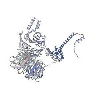 11357_6zqa_UL_v1-1
Cryo-EM structure of the 90S pre-ribosome from Saccharomyces cerevisiae, state A (Poly-Ala)