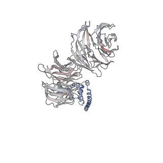 11357_6zqa_UM_v1-1
Cryo-EM structure of the 90S pre-ribosome from Saccharomyces cerevisiae, state A (Poly-Ala)