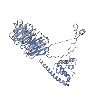 11357_6zqa_UO_v1-1
Cryo-EM structure of the 90S pre-ribosome from Saccharomyces cerevisiae, state A (Poly-Ala)