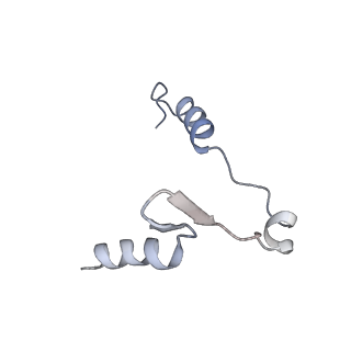 11357_6zqa_UP_v1-1
Cryo-EM structure of the 90S pre-ribosome from Saccharomyces cerevisiae, state A (Poly-Ala)