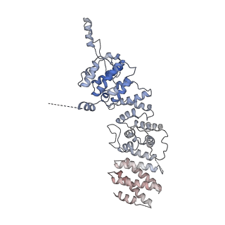 11357_6zqa_US_v1-1
Cryo-EM structure of the 90S pre-ribosome from Saccharomyces cerevisiae, state A (Poly-Ala)