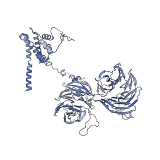 11357_6zqa_UU_v1-1
Cryo-EM structure of the 90S pre-ribosome from Saccharomyces cerevisiae, state A (Poly-Ala)