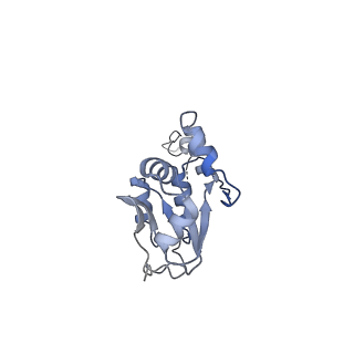 11357_6zqa_UX_v1-1
Cryo-EM structure of the 90S pre-ribosome from Saccharomyces cerevisiae, state A (Poly-Ala)