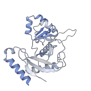 11357_6zqa_UZ_v1-1
Cryo-EM structure of the 90S pre-ribosome from Saccharomyces cerevisiae, state A (Poly-Ala)