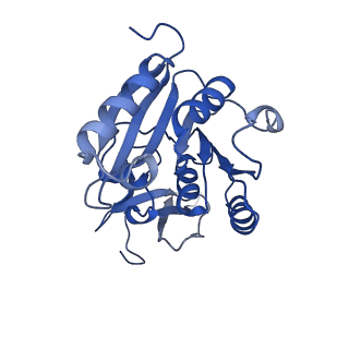 11358_6zqb_CA_v1-1
Cryo-EM structure of the 90S pre-ribosome from Saccharomyces cerevisiae, state B2