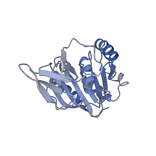 11358_6zqb_CB_v1-1
Cryo-EM structure of the 90S pre-ribosome from Saccharomyces cerevisiae, state B2