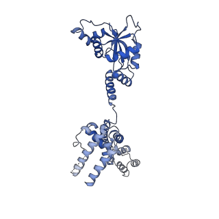 11358_6zqb_CD_v1-1
Cryo-EM structure of the 90S pre-ribosome from Saccharomyces cerevisiae, state B2