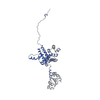 11358_6zqb_CE_v1-1
Cryo-EM structure of the 90S pre-ribosome from Saccharomyces cerevisiae, state B2