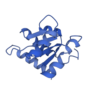 11358_6zqb_CF_v1-1
Cryo-EM structure of the 90S pre-ribosome from Saccharomyces cerevisiae, state B2