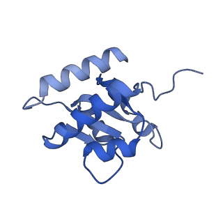 11358_6zqb_CG_v1-1
Cryo-EM structure of the 90S pre-ribosome from Saccharomyces cerevisiae, state B2
