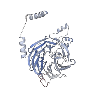 11358_6zqb_CH_v1-1
Cryo-EM structure of the 90S pre-ribosome from Saccharomyces cerevisiae, state B2