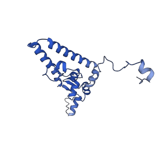 11358_6zqb_CI_v1-1
Cryo-EM structure of the 90S pre-ribosome from Saccharomyces cerevisiae, state B2
