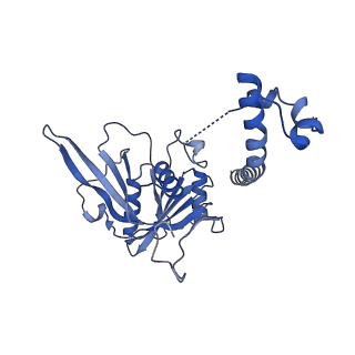 11358_6zqb_CJ_v1-1
Cryo-EM structure of the 90S pre-ribosome from Saccharomyces cerevisiae, state B2