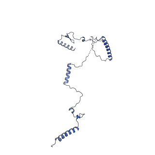 11358_6zqb_CK_v1-1
Cryo-EM structure of the 90S pre-ribosome from Saccharomyces cerevisiae, state B2
