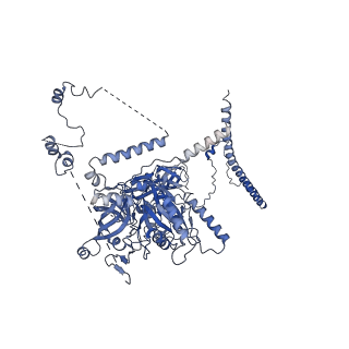 11358_6zqb_CL_v1-1
Cryo-EM structure of the 90S pre-ribosome from Saccharomyces cerevisiae, state B2