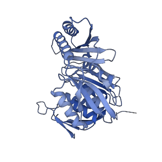 11358_6zqb_CM_v1-1
Cryo-EM structure of the 90S pre-ribosome from Saccharomyces cerevisiae, state B2