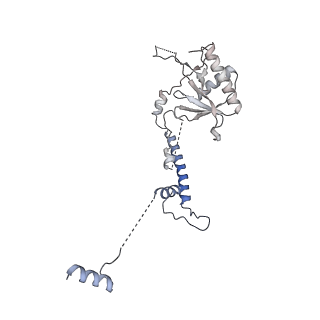 11358_6zqb_CN_v1-1
Cryo-EM structure of the 90S pre-ribosome from Saccharomyces cerevisiae, state B2