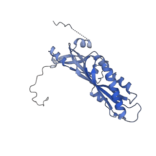 11358_6zqb_DA_v1-1
Cryo-EM structure of the 90S pre-ribosome from Saccharomyces cerevisiae, state B2