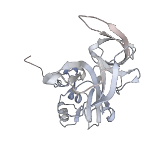 11358_6zqb_DE_v1-1
Cryo-EM structure of the 90S pre-ribosome from Saccharomyces cerevisiae, state B2