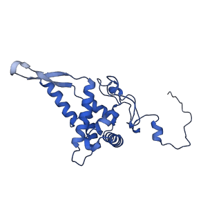 11358_6zqb_DF_v1-1
Cryo-EM structure of the 90S pre-ribosome from Saccharomyces cerevisiae, state B2