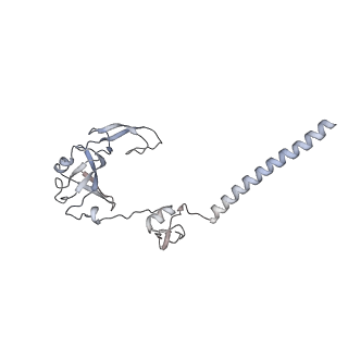 11358_6zqb_DG_v1-1
Cryo-EM structure of the 90S pre-ribosome from Saccharomyces cerevisiae, state B2