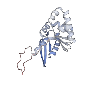 11358_6zqb_DH_v1-1
Cryo-EM structure of the 90S pre-ribosome from Saccharomyces cerevisiae, state B2