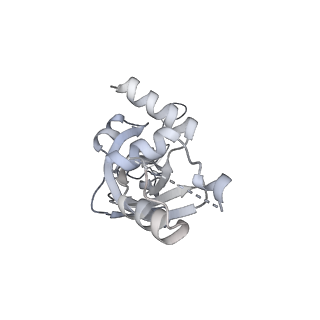 11358_6zqb_DI_v1-1
Cryo-EM structure of the 90S pre-ribosome from Saccharomyces cerevisiae, state B2