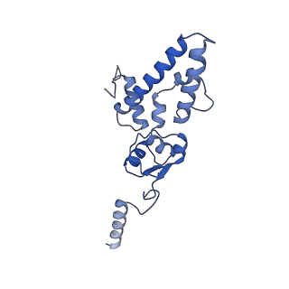 11358_6zqb_DJ_v1-1
Cryo-EM structure of the 90S pre-ribosome from Saccharomyces cerevisiae, state B2
