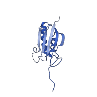 11358_6zqb_DO_v1-1
Cryo-EM structure of the 90S pre-ribosome from Saccharomyces cerevisiae, state B2