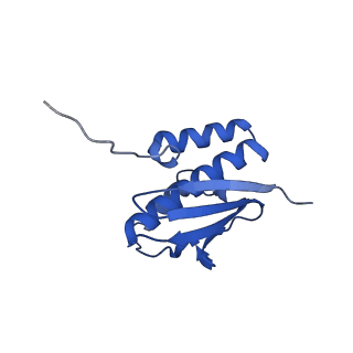 11358_6zqb_DQ_v1-1
Cryo-EM structure of the 90S pre-ribosome from Saccharomyces cerevisiae, state B2